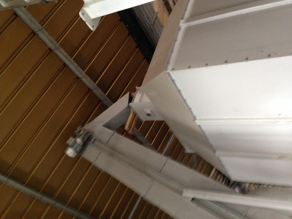 IMG 1175